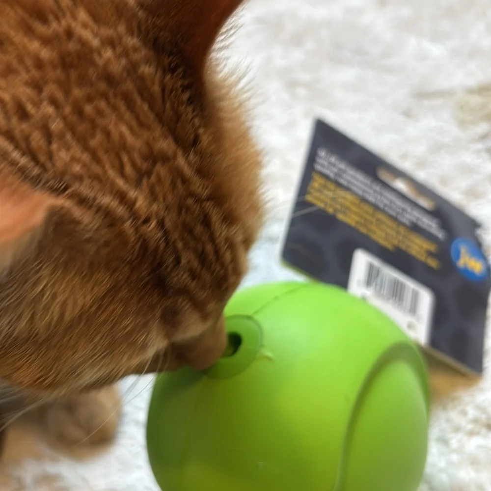 JW Pet Company chosen as